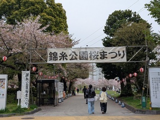 PXL_20250411_041543267.jpg