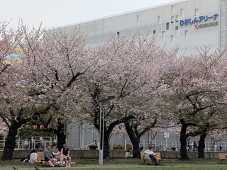 PXL_20250411_041733337.jpg
