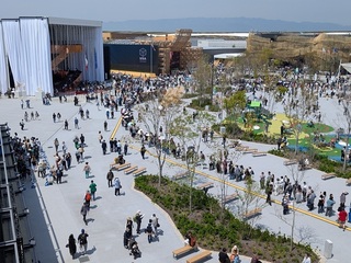 PXL_20250417_024641816.jpg